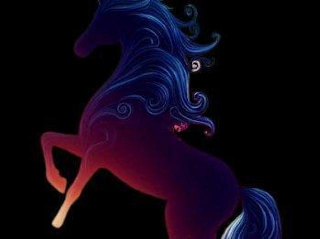 OX[u N[lbN XEFbgipCj XXL ~bNXO[ jR[@VGbg@ O  jt@bV 