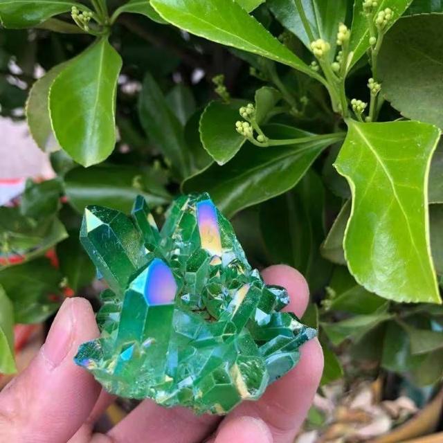 �O���[���I�[���N�H�[�c�N���X�^�[�p���[�X�g�[���V�R�ΐ����S�̖������ȕ\���� �� �C���e���A/���C�t�� 