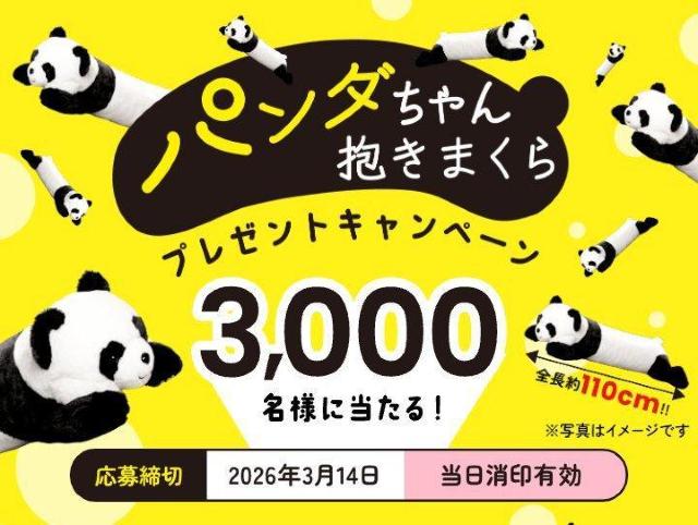 �p���_���������܂��� 3000���ɓ�����2����  �� �`�P�b�g/������ 