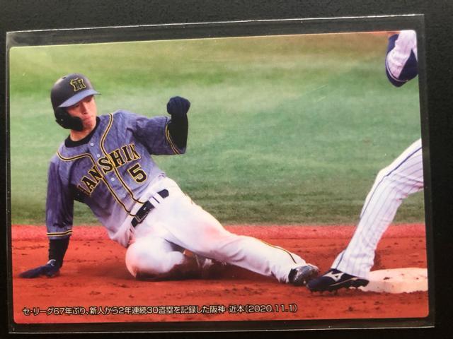 QOQPJr[싅Pe/C-OSE_^CK[Xm_ߖ{`FbNXgJ|hn   g[fBOJ[h 