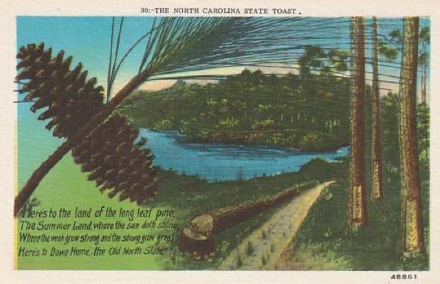 Âǂ̃AJ |XgJ[h 3yd-7z  zr[ 