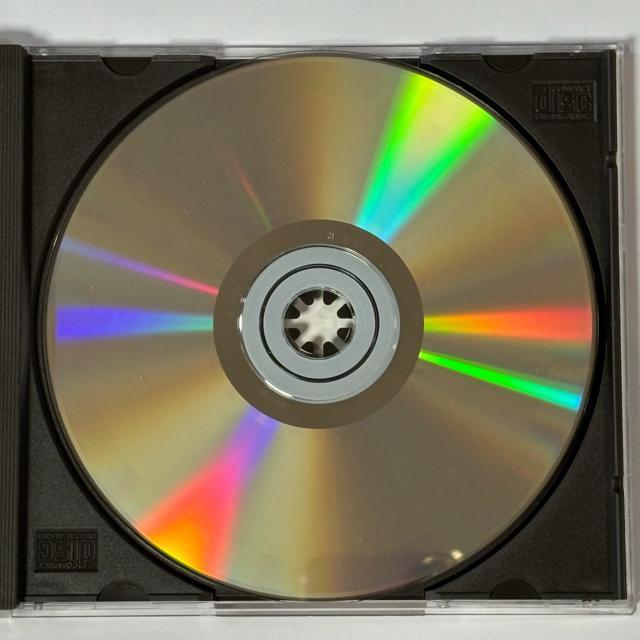 BLACK GRAPE / Stupid Stupid Stupid < CD/DVD/ビデオ BLACK GRAPE / Stupid Stupid Stupid < CD/DVD/ビデオの