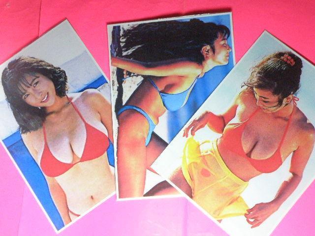 Ƃ ꂢ@ZNV[Vbg@ASTCYU{@NA|Pbg   ^gObY 