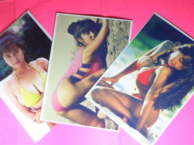 Ƃ ꂢ@ZNV[Vbg@ASTCYU{@NA|Pbg  ^gObY 