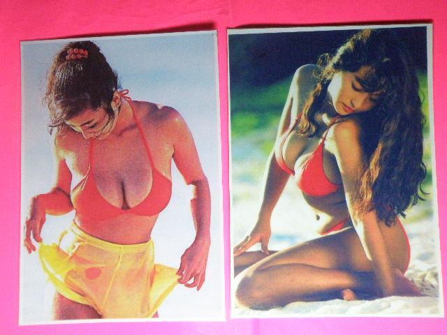 Ƃ ꂢ@ZNV[Vbg@ASTCYU{@NA|Pbg  ^gObY 