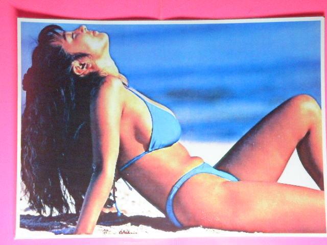 Ƃ ꂢ@ZNV[Vbg@ASTCYU{@NA|Pbg  ^gObY 