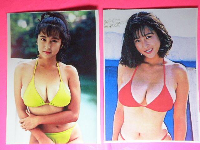 Ƃ ꂢ@ZNV[Vbg@ASTCYU{@NA|Pbg  ^gObY 