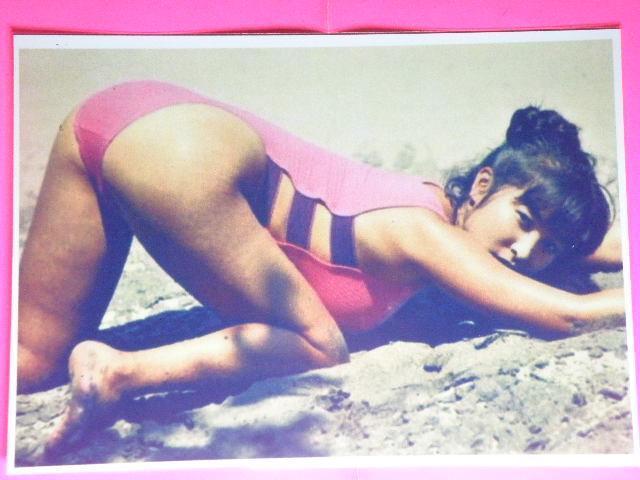 Ƃ ꂢ@ZNV[Vbg@ASTCYU{@NA|Pbg  ^gObY 