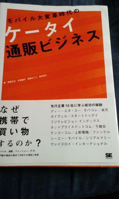 oCϊṽP[^Cʔ̃rWlX   {/G 