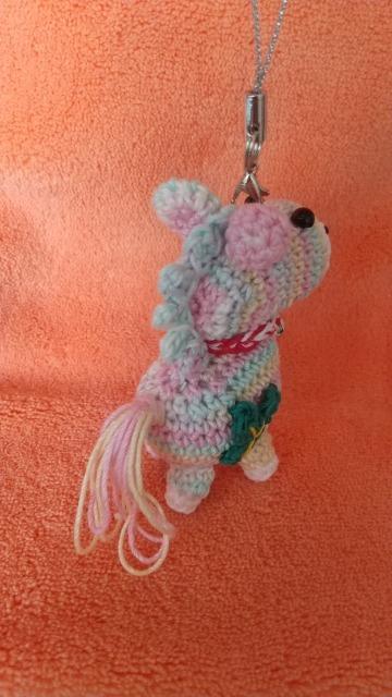 ���N�̊��x���J���t���n���҂݂���݃X�g���b�v(���j�R�[��) �� �y�b�g/��|/���|�� 