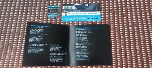 WANDS「抱き寄せ 高まる 君の体温と共に」通常盤 < CD/DVD/ビデオ  WANDS「抱き寄せ 高まる 君の体温と共に」通常盤 < CD/DVD/ビデオの