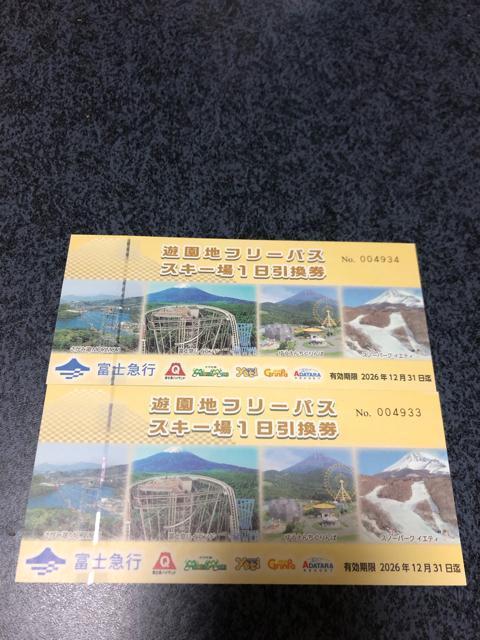 富士急ハイランド フリーパス 2枚 < チケット/金券 富士急ハイランド フリーパス 2枚 < チケット/金券の