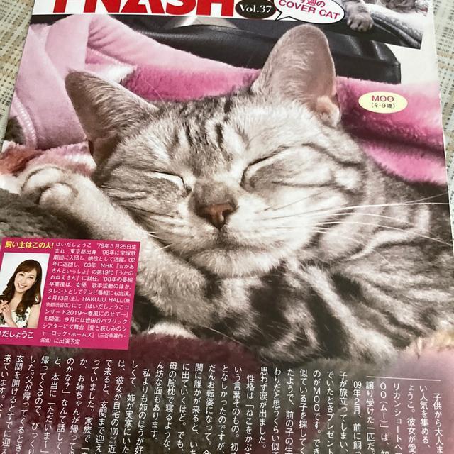 雑誌切抜き 子猫A < 本/雑誌  雑誌切抜き 子猫A  < 本/雑誌の