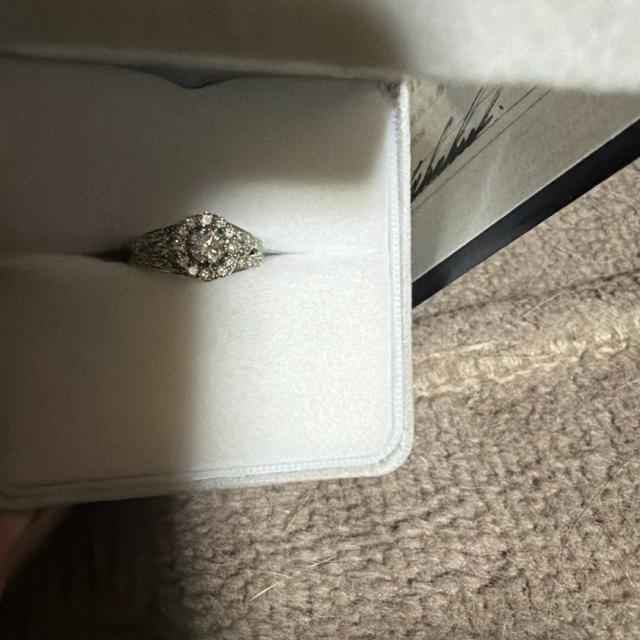 �_�C���v���`�i�����O �� �����A�N�Z�T���[/���v�� 