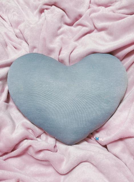 ���n�[�g�^//�N�b�V������  �� �C���e���A/���C�t�� 