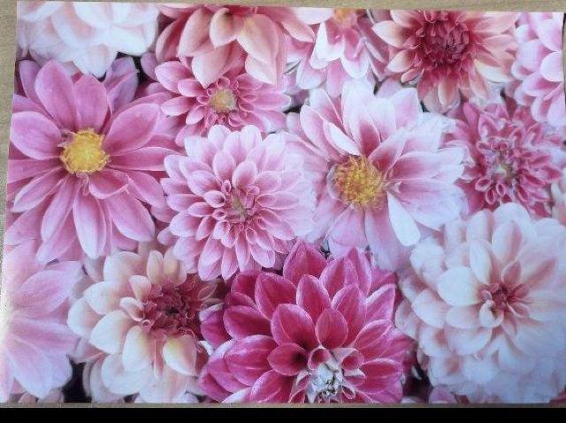 �f�U�C���y�[�p�[�@10���@�D 