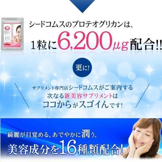 プロテオグリカン サプリメント 約3ヵ月分 美容 保水 保湿 ヒアルロン酸 健康食品 < グルメ/ドリンク プロテオグリカン サプリメント 約3ヵ月分 美容 保水 保湿 ヒアルロン酸 健康食品 < グルメ/ドリンクの