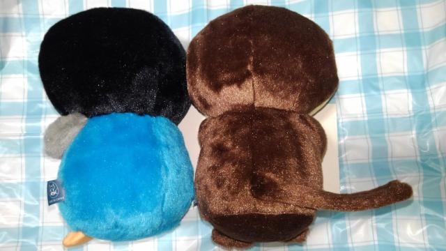 ʂ݁@5@Zbg@܂Ƃߔ@܂ t@@@JE\@yM@݂܂@bT[p_@ʂ@   