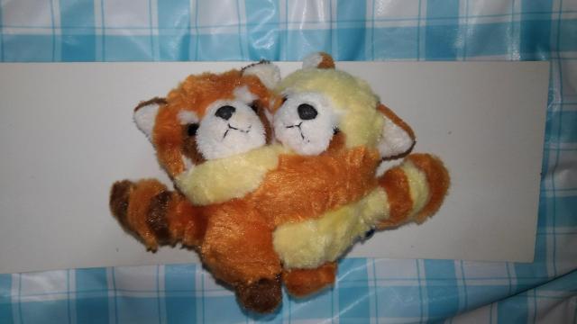 ʂ݁@5@Zbg@܂Ƃߔ@܂ t@@@JE\@yM@݂܂@bT[p_@ʂ@   