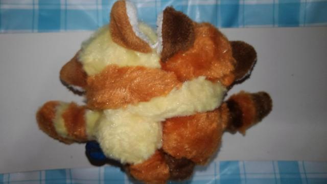 ʂ݁@5@Zbg@܂Ƃߔ@܂ t@@@JE\@yM@݂܂@bT[p_@ʂ@   