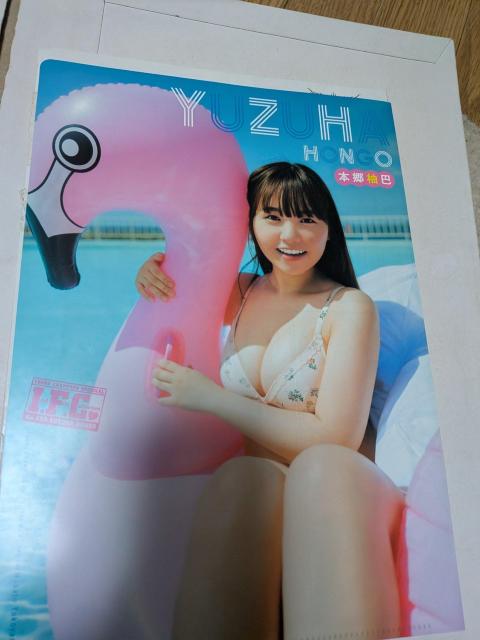 �{���M�b�N���A�t�@�C�� �� �^�����g�O�b�Y�� 