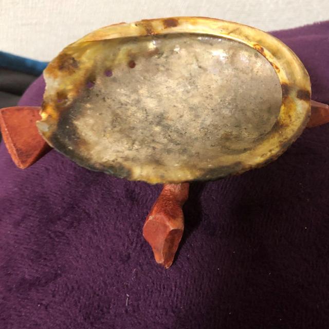 天然貝殻 木製脚付き アクセサリートレイ 小物入れ インテリア置物 < インテリア/ライフ 天然貝殻 木製脚付き アクセサリートレイ 小物入れ インテリア置物 < インテリア/ライフの