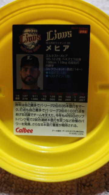 ���q�A  �� ���W���[/�X�|�[�c�� 