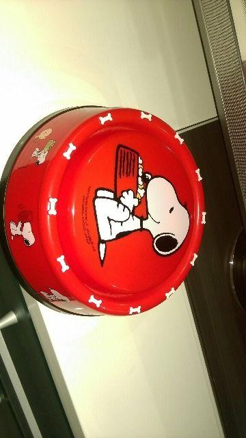Xk[s[ꁚybĝѓꁚ   Aj/R~bN/LN^[ 