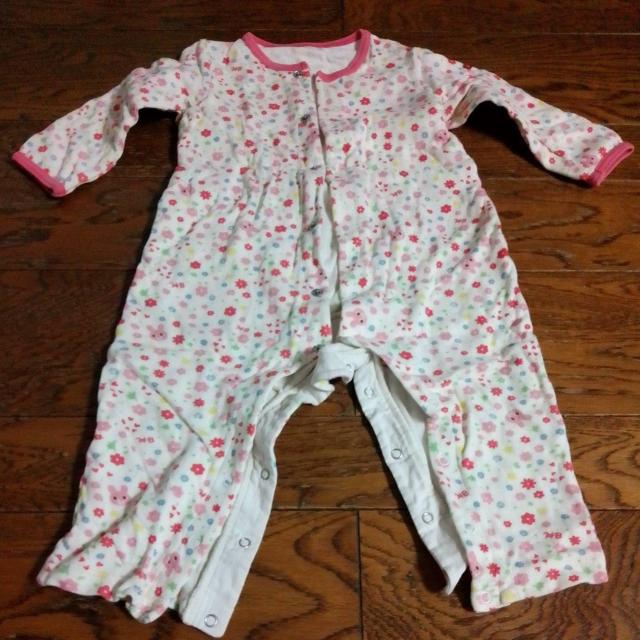 80TCY@@pc@ԕ@   LbY/xr[ 