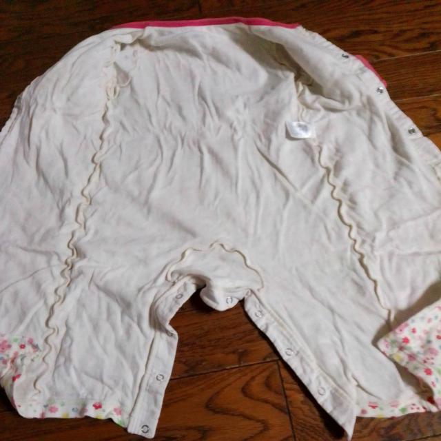 80TCY@@pc@ԕ@  LbY/xr[ 