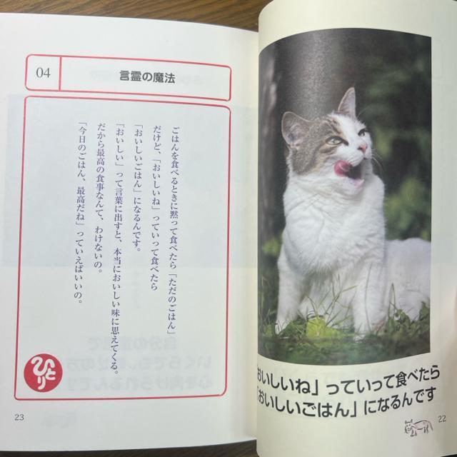 斎藤一人 しあわせを招くねこ ― ココロが晴れる魔法の言葉 【単行本】 < 本/雑誌  斎藤一人 しあわせを招くねこ ― ココロが晴れる魔法の言葉 【単行本】 < 本/雑誌の