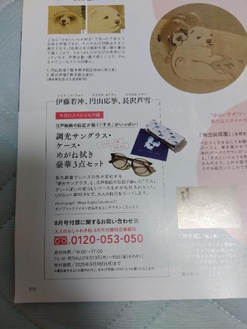 オシャレ手帖 特別付録 調光サングラス ケース めがね拭き 原田知世さん < 本/雑誌  オシャレ手帖 特別付録 調光サングラス ケース めがね拭き 原田知世さん < 本/雑誌の