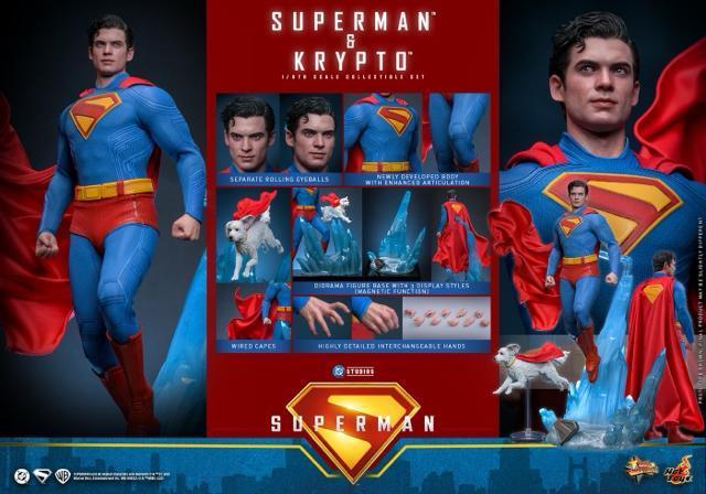 zbggCY MMS812 X[p[}Nvg  Superman & Krypto Hottoys 1/6tBMA   zr[ 