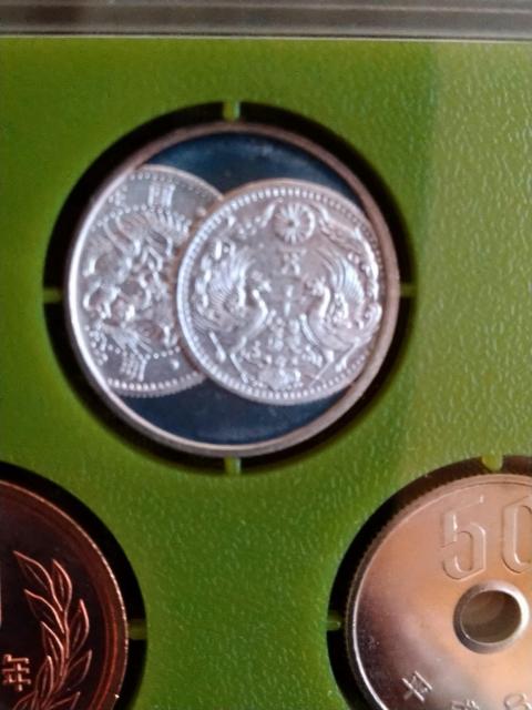 ���������Q�_���h�V�~���g���⃁�_���t�������g�p�i �� �z�r�[�� 