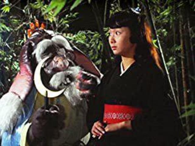 ☆好き好き魔女先生☆全26話 菊容子 遺作 < CD/DVD/ビデオ  ☆好き好き魔女先生☆全26話 菊容子 遺作 < CD/DVD/ビデオの