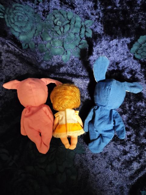 ���J����񂿂�3�q �� ��������� 