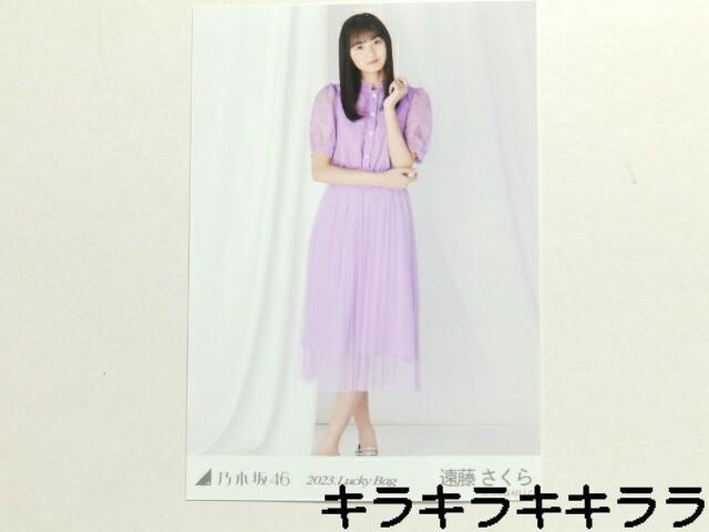 sNewtT؍46/灚2023N*Lucky Bag[ʐ^]   ^gObY 