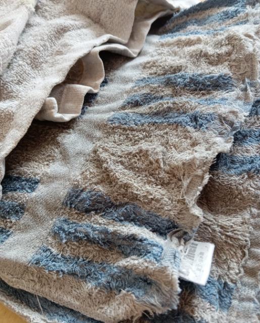 �^�I�� �� �C���e���A/���C�t�� 