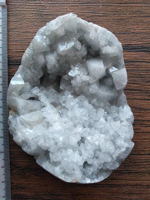 �Z���X�^�C�g  �� �C���e���A/���C�t�� 