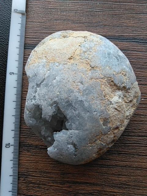 �Z���X�^�C�g �� �C���e���A/���C�t�� 