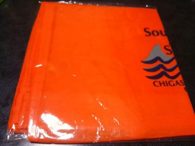 茅ヶ崎ライブ2000ビニールバック サザンオールスターズ < タレントグッズ  茅ヶ崎ライブ2000ビニールバック サザンオールスターズ < タレントグッズの