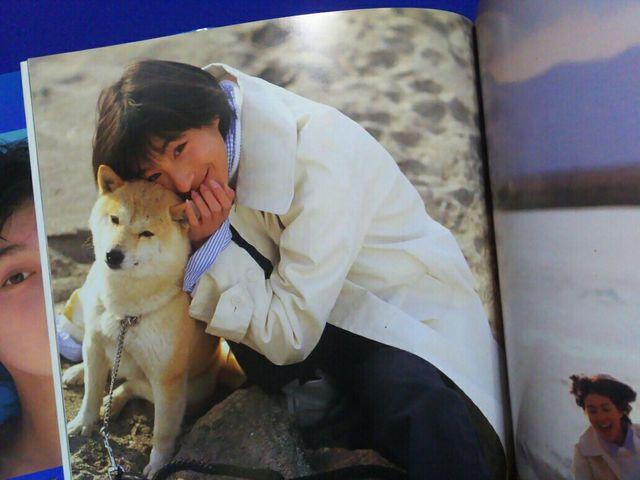 Lq ʐ^W'96 [R][H]  ѕt  ^gObY 