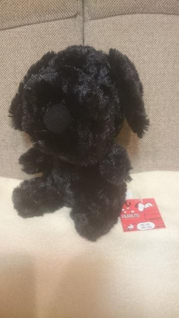 �V�i ���A�I�u���b�N�X�k�[�s�[ �ʂ������ �}�X�R�b�g�I  �� ��������� 