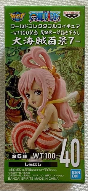 ONE PIECE [hRN^utBMA WT100LO chY`낵 CSi7 ق   Aj/R~bN/LN^[ 