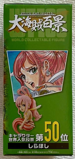 ONE PIECE [hRN^utBMA WT100LO chY`낵 CSi7 ق  Aj/R~bN/LN^[ 