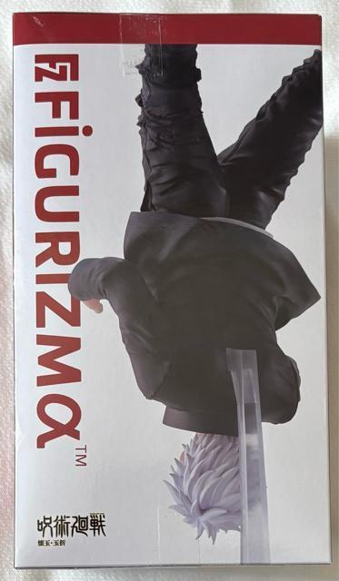 p ʁEʐ FIGURIZMg܏hp]uqv  zr[ 