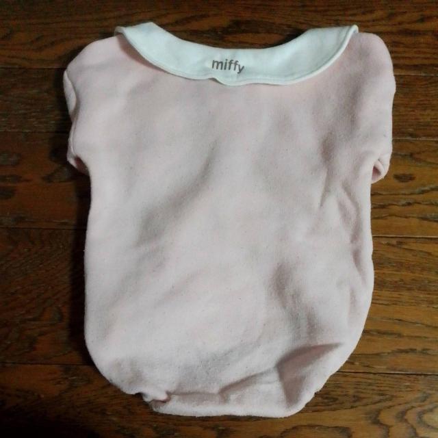 70TCY@miffy@sN@H~t@  LbY/xr[ 