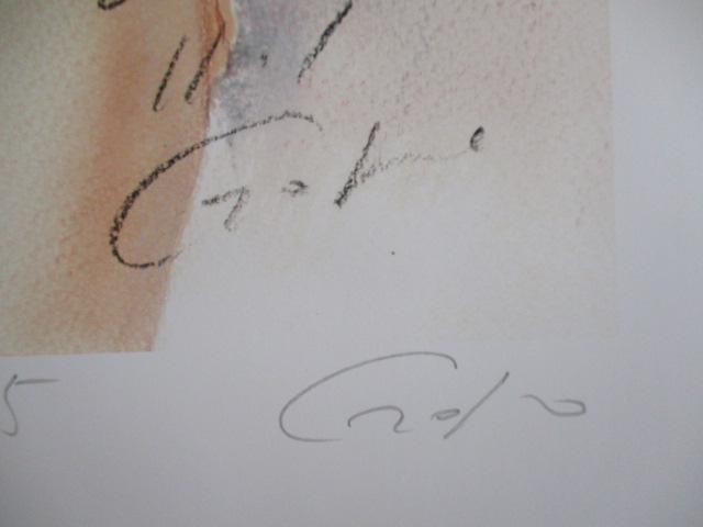 額装品を大特価出品!石川吾郎氏作パステル美人画「裸婦145」の限定版画、エディション、直筆サインありの限定出品 < ホビー 額装品を大特価出品!石川吾郎氏作パステル美人画「裸婦145」の限定版画、エディション、直筆サインありの限定出品 < ホビーの