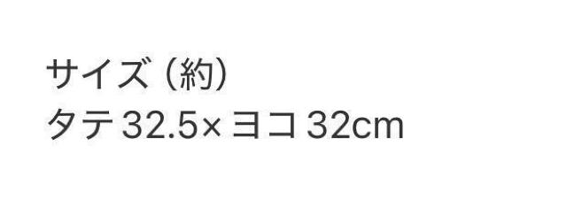 miniGt^ X-girl [GbNXK[]@W{킪ăV[gNbVɂȂIg[gobO  uh 