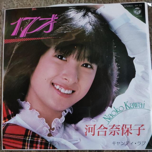 ͍ޕێq@VOR[h@17   CD/DVD/rfI 